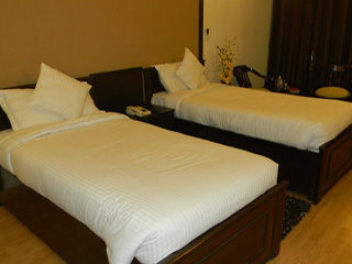 Hotel Shyama International Nuova Delhi Esterno foto