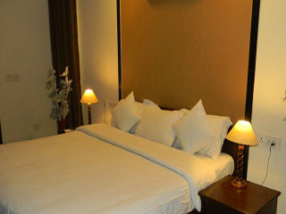Hotel Shyama International Nuova Delhi Esterno foto