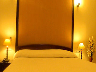 Hotel Shyama International Nuova Delhi Esterno foto